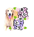 セレナ*（個別スタンプ：7）