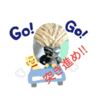 カメハメハッ（個別スタンプ：2）