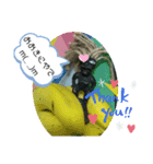 カメハメハッ（個別スタンプ：6）