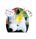 カメハメハッ（個別スタンプ：8）
