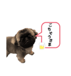 こんにちはしし丸です！（個別スタンプ：3）
