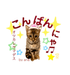 アリスタ3＊2021（個別スタンプ：2）