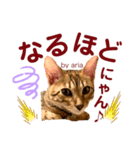 アリスタ3＊2021（個別スタンプ：5）