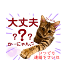 アリスタ3＊2021（個別スタンプ：6）
