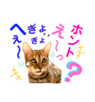アリスタ3＊2021（個別スタンプ：8）