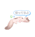 しゅがちゃんスタンプ（個別スタンプ：28）