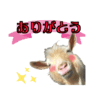 ヤギの小太郎（個別スタンプ：7）