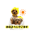 まるandつぶ③（個別スタンプ：1）