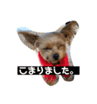まるandつぶ③（個別スタンプ：7）
