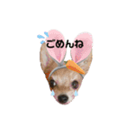 KATIE＆CLAIRE 3（個別スタンプ：13）