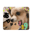 KATIE＆CLAIRE 3（個別スタンプ：21）
