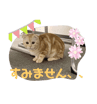 ぼくバニエ（個別スタンプ：2）