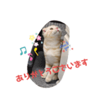 ぼくバニエ（個別スタンプ：6）