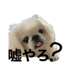 4ペキLIFE.（個別スタンプ：4）