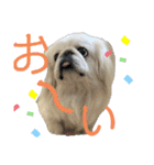 4ペキLIFE.（個別スタンプ：5）