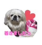 4ペキLIFE.（個別スタンプ：8）