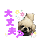 4ペキLIFE.（個別スタンプ：9）