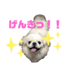 4ペキLIFE.（個別スタンプ：10）