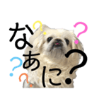 4ペキLIFE.（個別スタンプ：15）