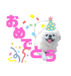4ペキLIFE.（個別スタンプ：16）