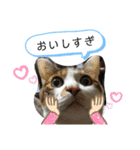 ミロコビッチ365日（個別スタンプ：9）