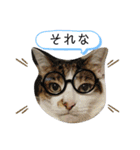 ミロコビッチ365日（個別スタンプ：16）