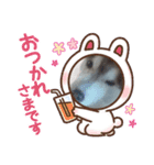 ハスキーひかる君（個別スタンプ：8）