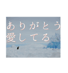 世界の絶景と感謝の気持ち（個別スタンプ：7）