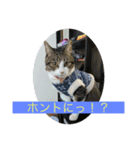 みおんちゃんの癒しスタンプ（個別スタンプ：4）