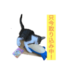 みおんちゃんの癒しスタンプ（個別スタンプ：5）