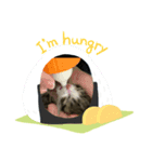 みおんちゃんの癒しスタンプ（個別スタンプ：6）