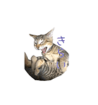 可愛い猫とハムスター2020（個別スタンプ：8）