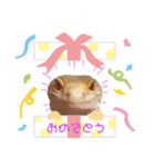 みなちんのレオパ4(むた編)（個別スタンプ：7）