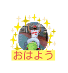 使ってやまちゃん（個別スタンプ：1）