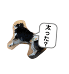りむう2（個別スタンプ：1）