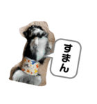 りむう2（個別スタンプ：5）