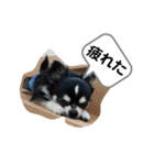 りむう2（個別スタンプ：9）
