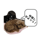 りむう2（個別スタンプ：13）