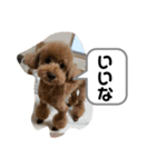 りむう2（個別スタンプ：19）