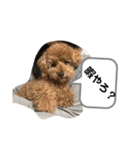 りむう2（個別スタンプ：21）