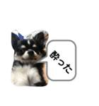 りむう2（個別スタンプ：22）