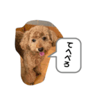 りむう2（個別スタンプ：27）