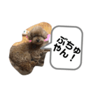 りむう2（個別スタンプ：30）