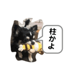 りむう2（個別スタンプ：35）