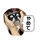 りむう2（個別スタンプ：36）