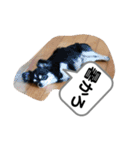 りむう2（個別スタンプ：38）