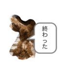 りむう2（個別スタンプ：39）