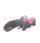 いけがみfamily（個別スタンプ：2）