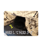いけがみfamily（個別スタンプ：16）