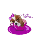 Cavalier Family の気持ち（個別スタンプ：5）
